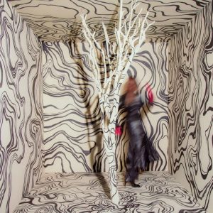 Revealer[LP]