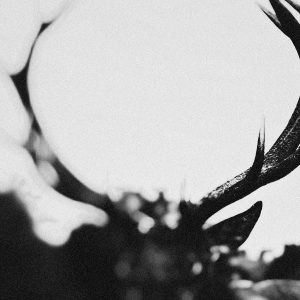 IHSAHN Orchestral Version Clear w/ Black Smoke Marble