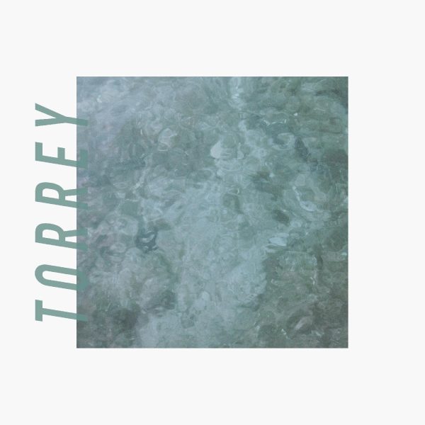 61Ymuu8VQQL._SL1400_.jpg Torrey OAT MILK