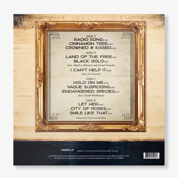 Radio Music Society (10th Anniversary)[2 LP]