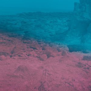 Capri Clouds (CLEAR VINYL)